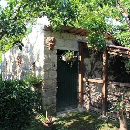 Residenza Caserta Sud - Appartamento Con Giardino Ngoại thất bức ảnh