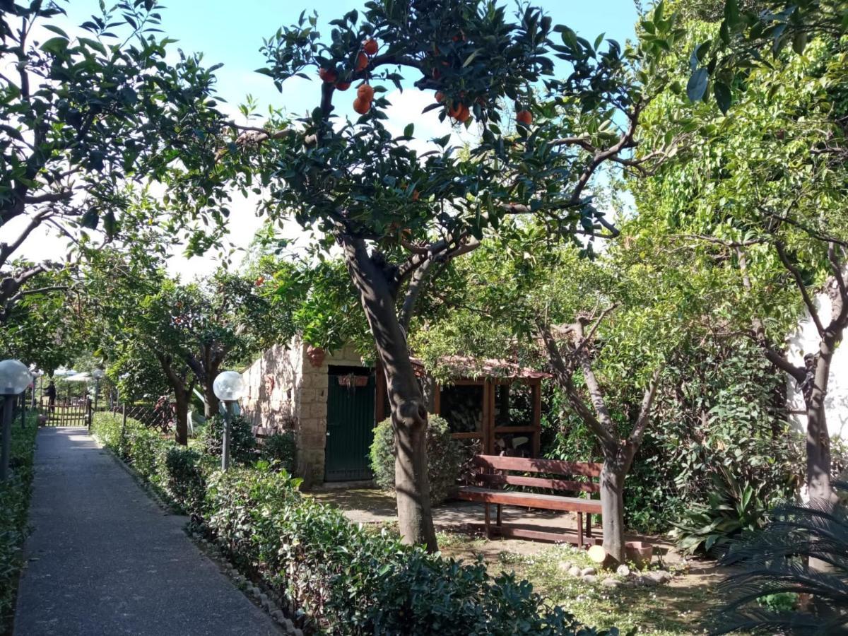 Residenza Caserta Sud - Appartamento Con Giardino Ngoại thất bức ảnh