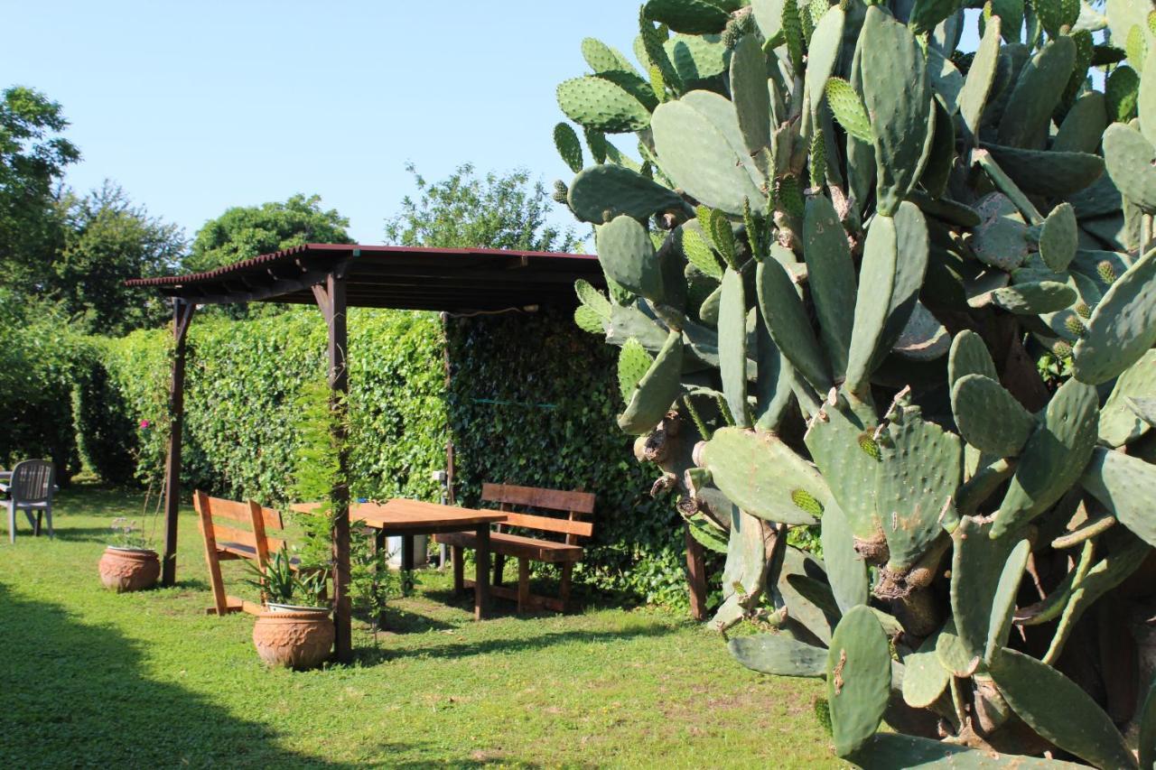 Residenza Caserta Sud - Appartamento Con Giardino Ngoại thất bức ảnh